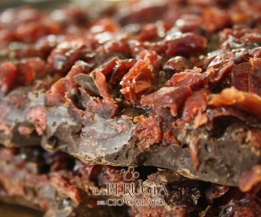 Lastra di cioccolato fondente con Cranberries