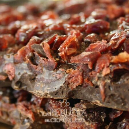 Lastra di cioccolato fondente con Cranberries